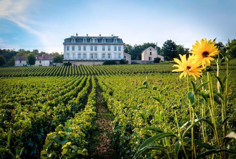 Gites Chateau Comblanchien Exterior photo